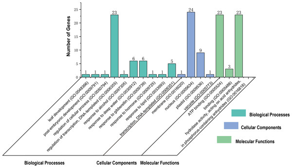 Gene Ontology (GO) distributions for the TaGRF proteins.