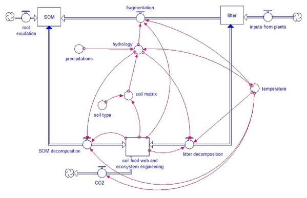 Simplified model scheme.