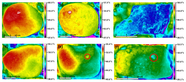 Thermal images showing patterns of temperature difference on the upper surfaces of boulders.