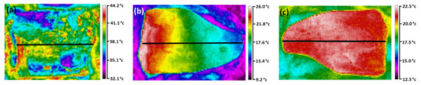 Thermal images showing patterns of temperature difference on boulder surfaces.