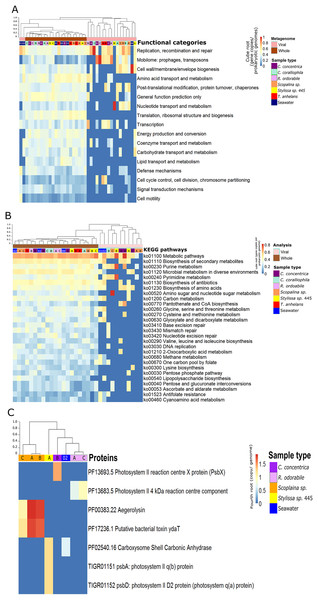 Functional composition of metagenome-derived viral communities.