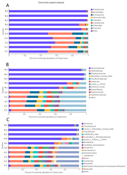 Composition of intestinal microbial flora at phylum (A), family (B) and genus (C) level.