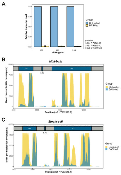 Validation of rRNA depletion in scRNA-seq libraries after scDASH treatment.