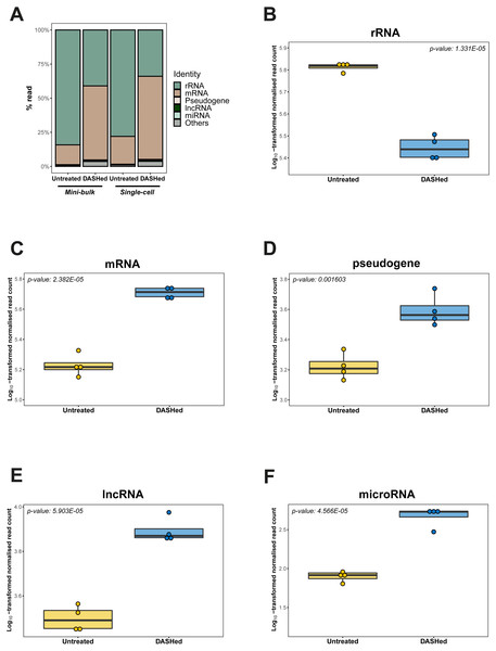 Depletion of cytoplasmic rRNAs by scDASH is translated into enriched representation of whole transcriptome.