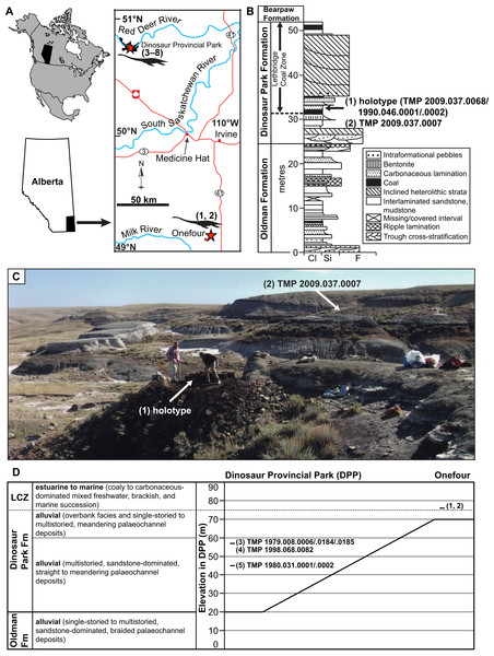 Geographic locality and stratigraphic position of specimens of new genus and species of elasmosaurid.