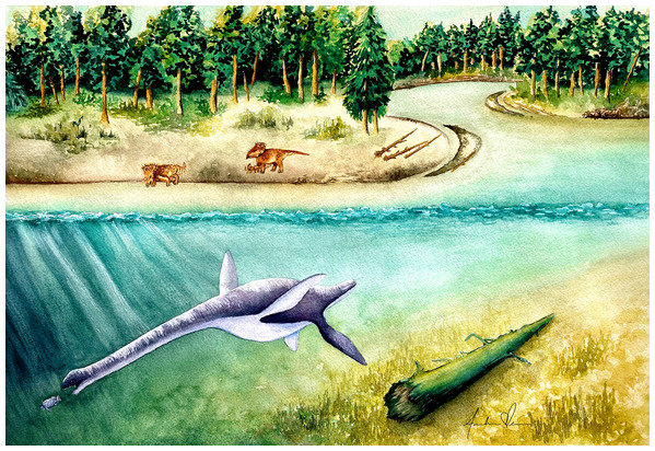 Life reconstruction of Fluvionectes sloanae, gen. et sp. nov.