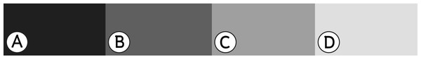 Color chart used in this study. Black: #1f1f1f (A), Dim gray: #5f5f5f (B), Dark gray: #9f9f9f (C) and Silver: #dfdfdf (D).