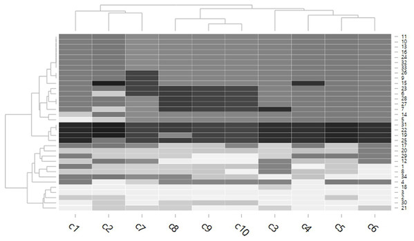 Dendrogram of the color chart mean scored grading of each muscle in each chicken.