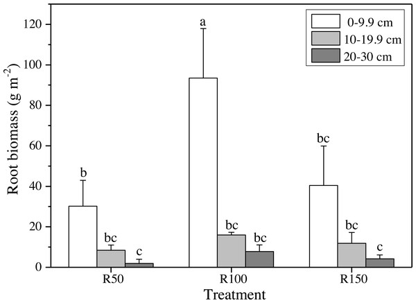 Root biomass at different soil depths in three precipitation treatments.
