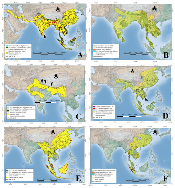 Historical and current distribution ranges of six herbivore megafauna’ species in Protected and non-Protected Areas in Asia.