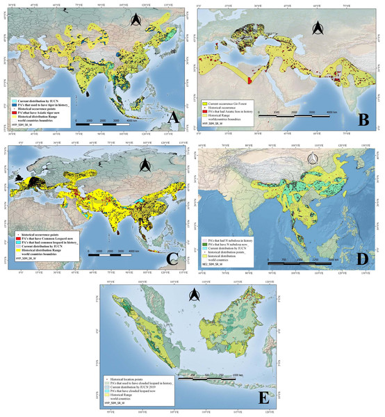 Historical and current distribution ranges of four carnivore megafauna’ species in Protected and non-Protected Areas in Asia.