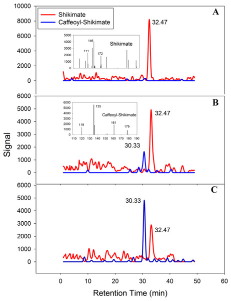 PtoHCT1 catalyzes enzymatic synthesis of caffeoyl shikimate.