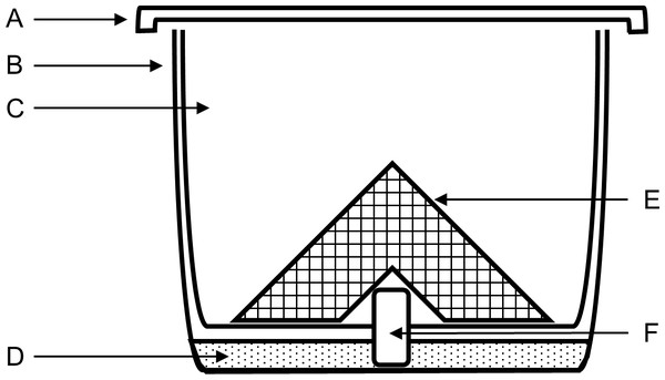 Post-treatment container design for topical LD50 experiments using Megachile rotundata.