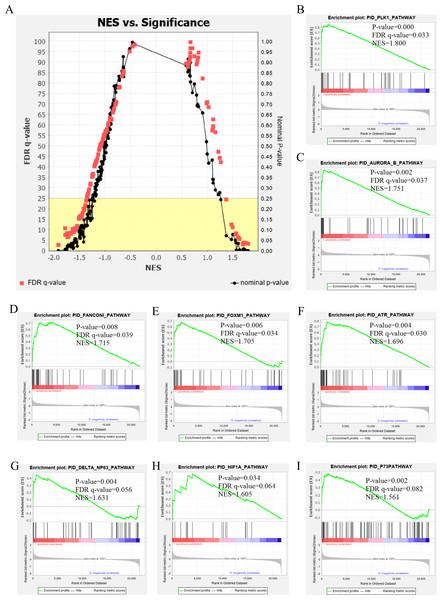 The results of GSEA enrichment analysis of stage III HCC genes from GEO database.