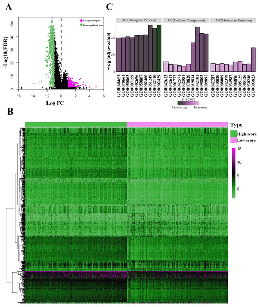 Identification of the immunological TME related DEGs.