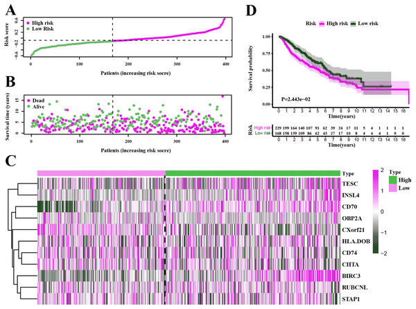Characteristics of the prognostic gene signature and OS analysis in GSE68465.