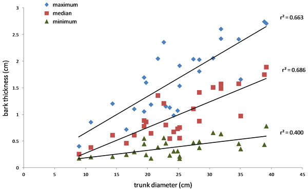 Relationship between bark thickness and trunk diameter.