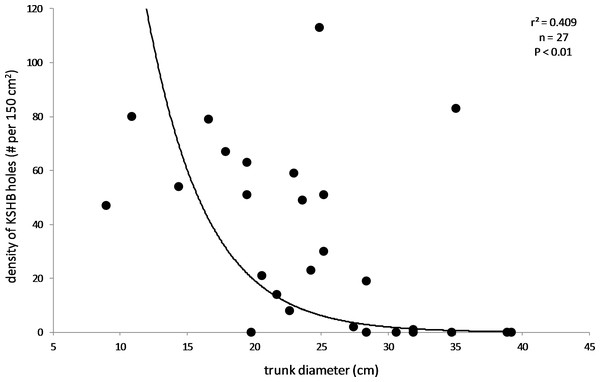 Relationship between density of KSHB holes and trunk diameter.