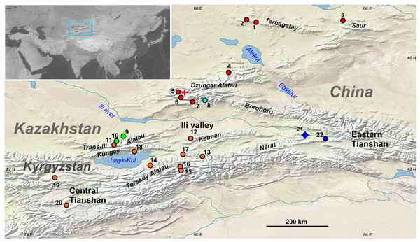 Molecular systematics of the Sicista tianschanica species complex: a ...