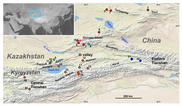 Molecular systematics of the Sicista tianschanica species complex: a ...