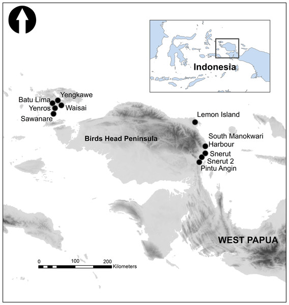 The Birds Head Peninsula of West Papua Province, Indonesia, showing locations of sampling sites.
