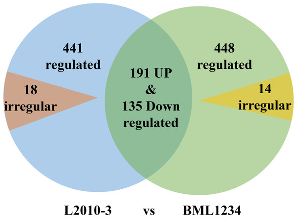 Venn diagrams of differentially expressed genes common to the two inbred lines.