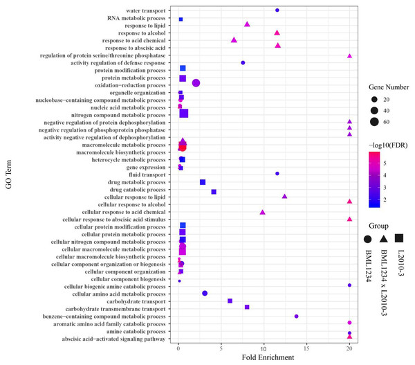 Enriched GO terms related to specifically regulated DEGs in two lines under salt stress.