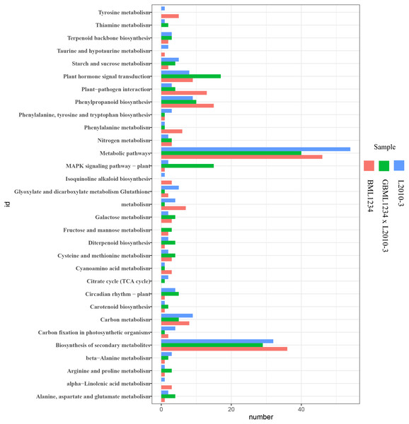 Enriched KEGG pathways related to specific DEGs in the two lines.