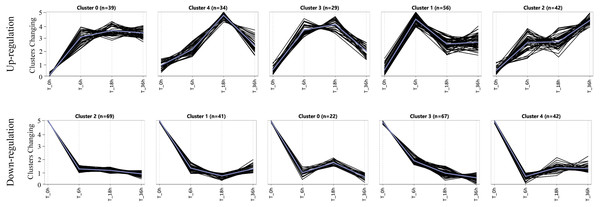 The expression patterns of specific genes in L2010-3.