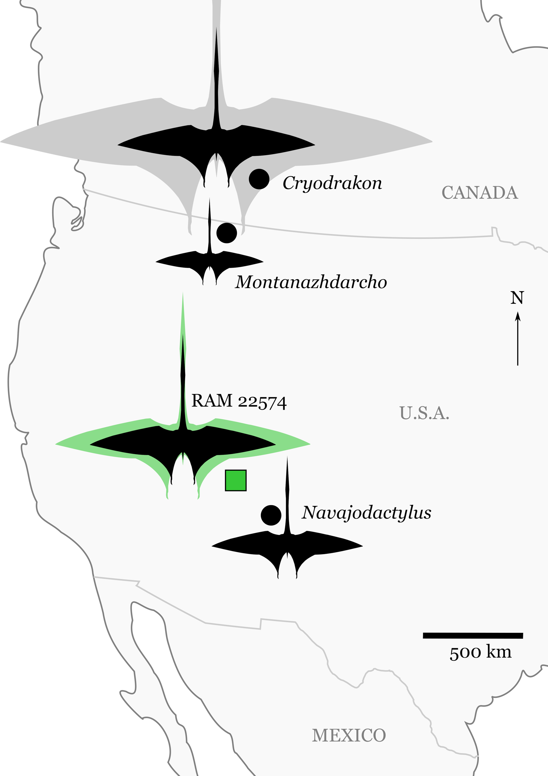 Record claims of pterosaur wingspans and equivalent standing heights
