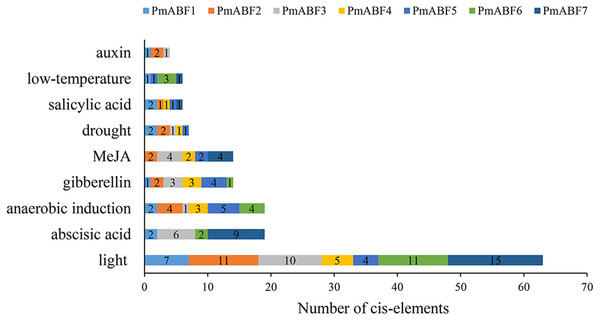 Promoter cis-elements of PmABFs.