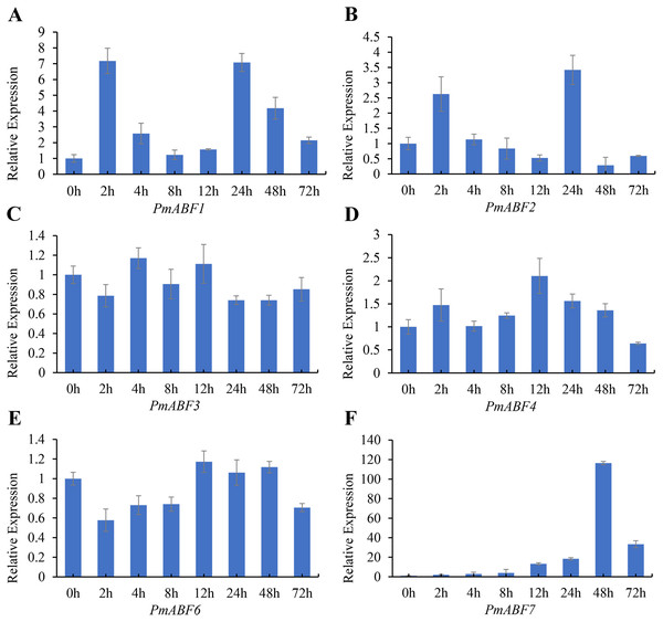 Expression patterns of PmABFs under ABA treatment.