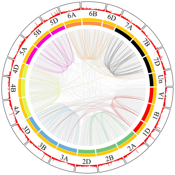 SNARE collinear gene pairs in wheat.