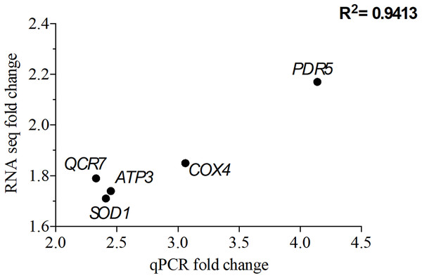 Correlation of gene expression from quantitative real-time RT-PCR and RNA-seq data.
