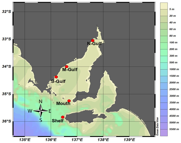 Sampling locations within Spencer Gulf and the adjacent continental shelf waters.