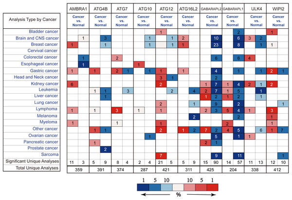 Different ATGs mRNA expression in different tumor types.