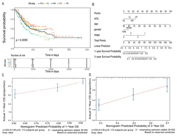 Joint predictive the patients prognosis using ATG4D and MAP1LC3C.