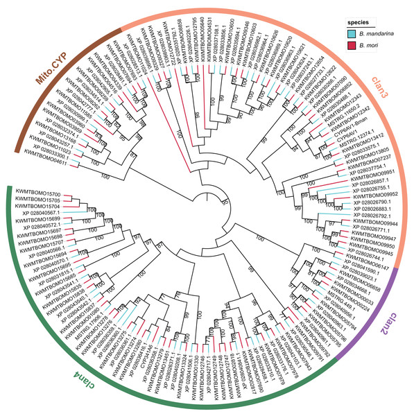 Phylogenetic tree of the cytochrome P450 genes in the wild and domestic silkworms.