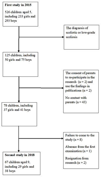 Flow chart of participants.