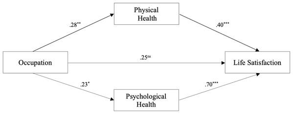Coefficients representing the effects of occupation on the mediators (i.e., self-reported physical and psychological health) and self-reported life satisfaction.