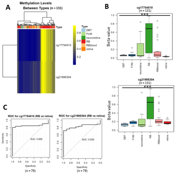 Differentially expressed methylated CpG loci in RB.