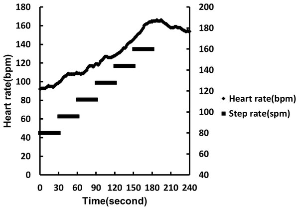 3MPKS heart rate model and corresponding step frequency.