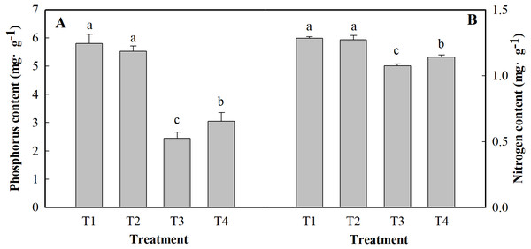 Effects of low pH on the contents of P (A) and N (B) in the leaves of ginger plants under salt stress.
