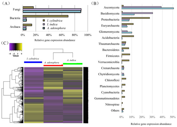 Taxonomic classification and heatmap of unigenes identified in the rhizosphere soils of weed Ageratina adenophora, and native plant species Artemisia indica and Imperata cylindrica.