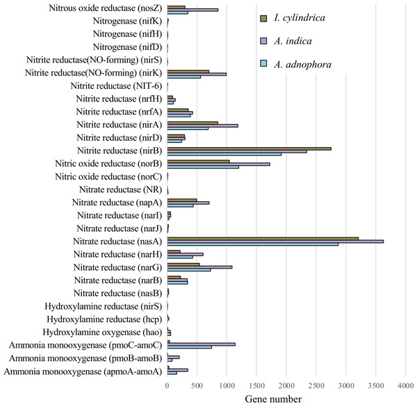 Expression of nitrogen metabolism genes in the rhizosphere soils of invasive weed Ageratina adenophora, and native plant species Artemisia indica and Imperata cylindrica.
