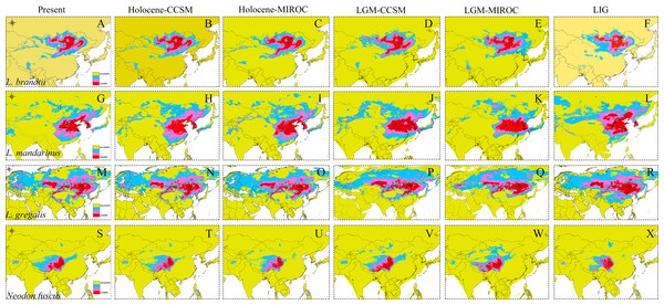 Ecological niche modeling of Lasiopodomys and Neodon.