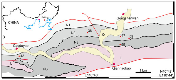 Map of the fossil localities of Turfanodon jiufengensis.