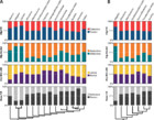 Maniraptoran pelvic musculature highlights evolutionary patterns in ...