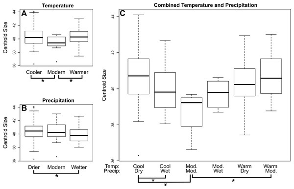 Mean centroid size of dentaries of M. velifer across temperature (A), precipitation (B), and combined climate (C) groups.