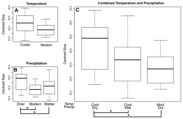 Mean centroid size of dentaries of E. fuscus across temperature (A), precipitation (B), and combined climate (C) groups.